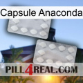 Anaconda Capsule 17